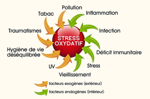 stress-oxydatif stress-oxydatif