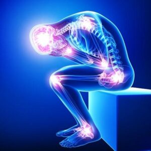 Gel corps articulations