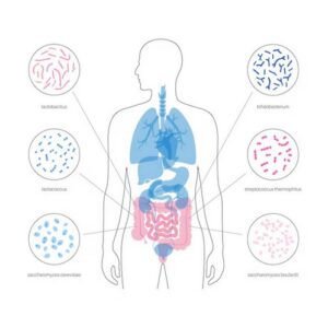 Probiotiques